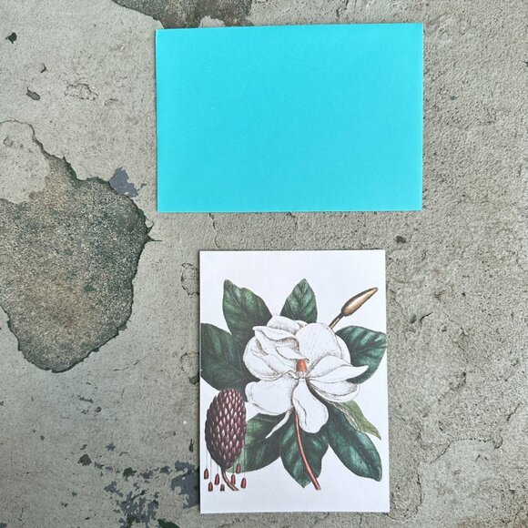 The Laurel Tree of Carolina Blank Card - Picture 8 of 12